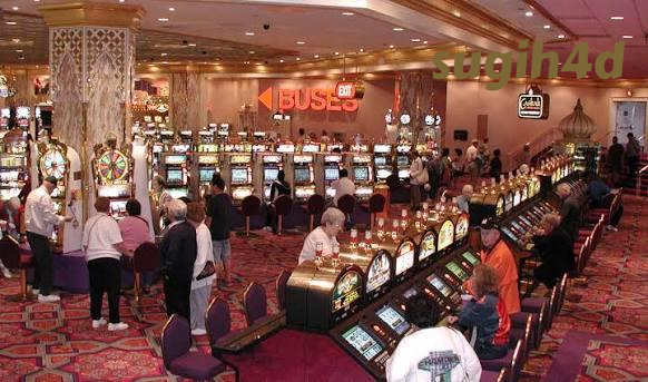 sugih4d Live Casino Tables Built for Indonesia